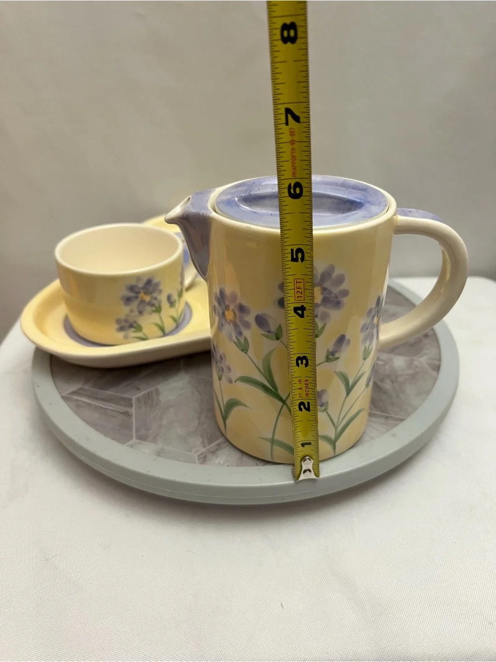 Herman Dodge & Son Hand Painted Floral Tea Set Pot 2 Cups Tray 4 Piece